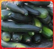 courgettes